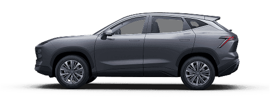 dashing-grey-side-transparent.png
